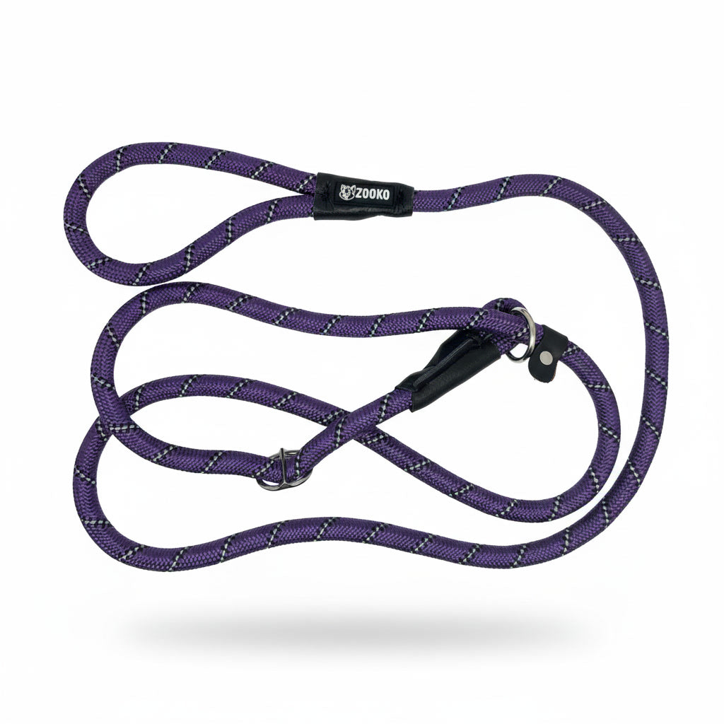 Correa Slip Leash Antitirones Correa Y Collar Perros Zooko