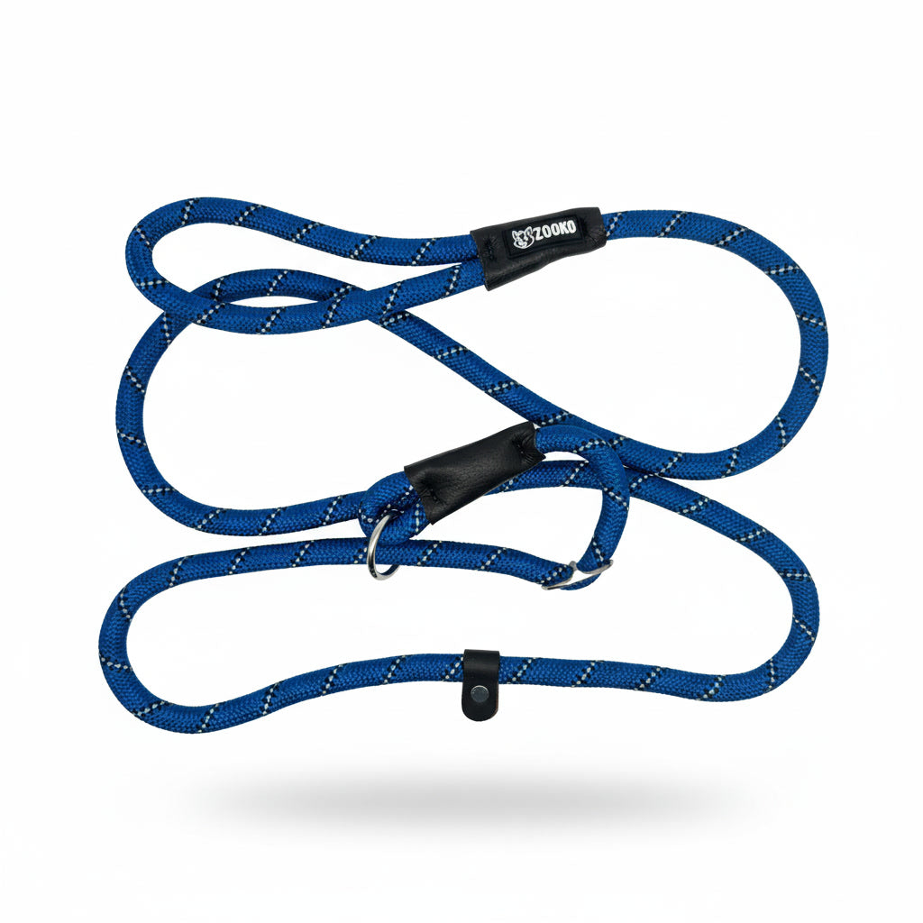 Correa Slip Leash Antitirones Correa Y Collar Perros Zooko