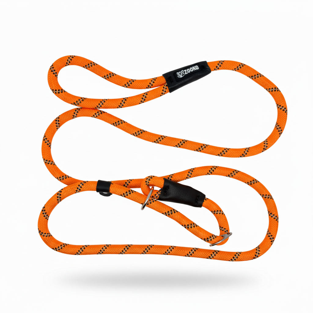 Correa Slip Leash Antitirones Correa Y Collar Perros Zooko