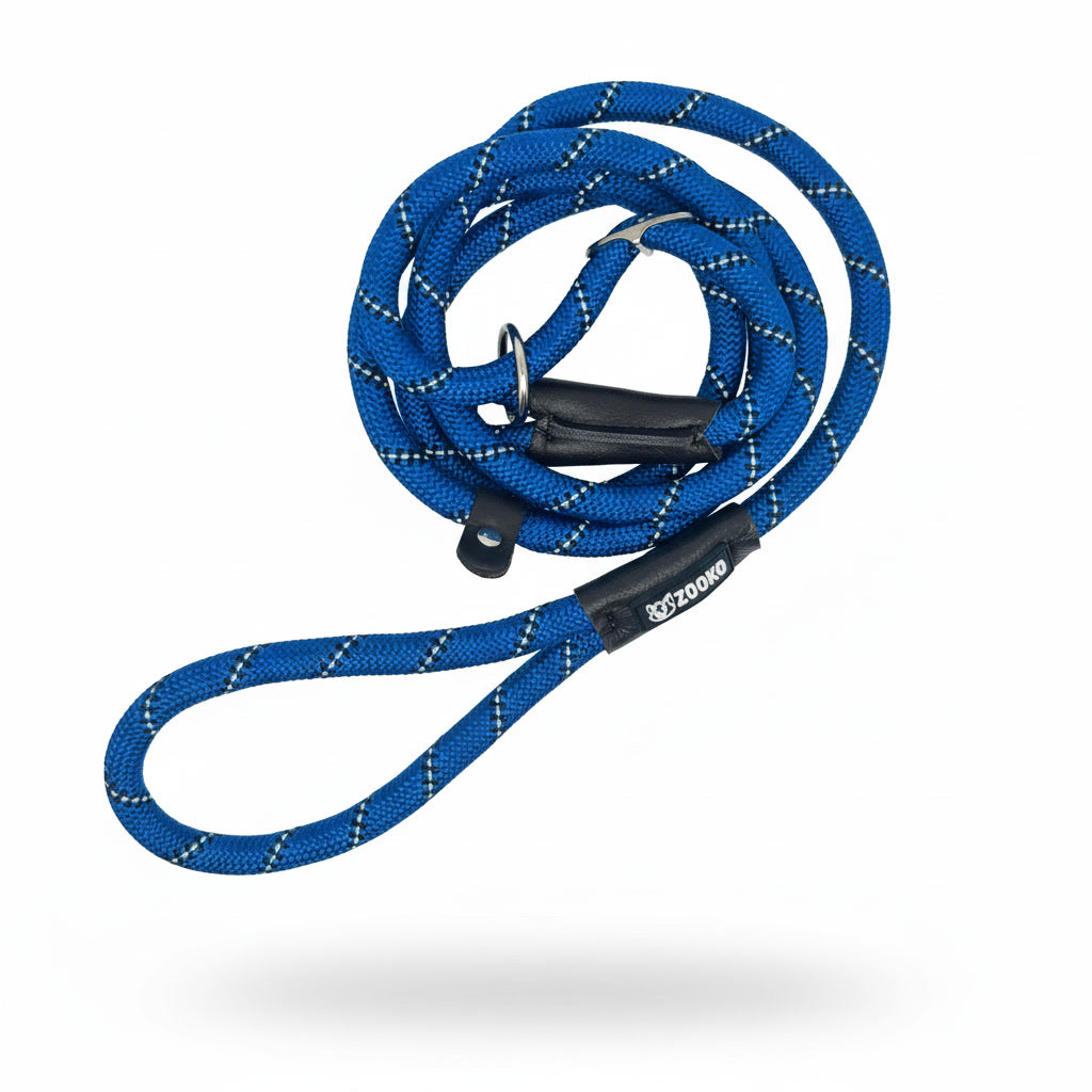 Correa Slip Leash Antitirones Correa Y Collar Perros Zooko