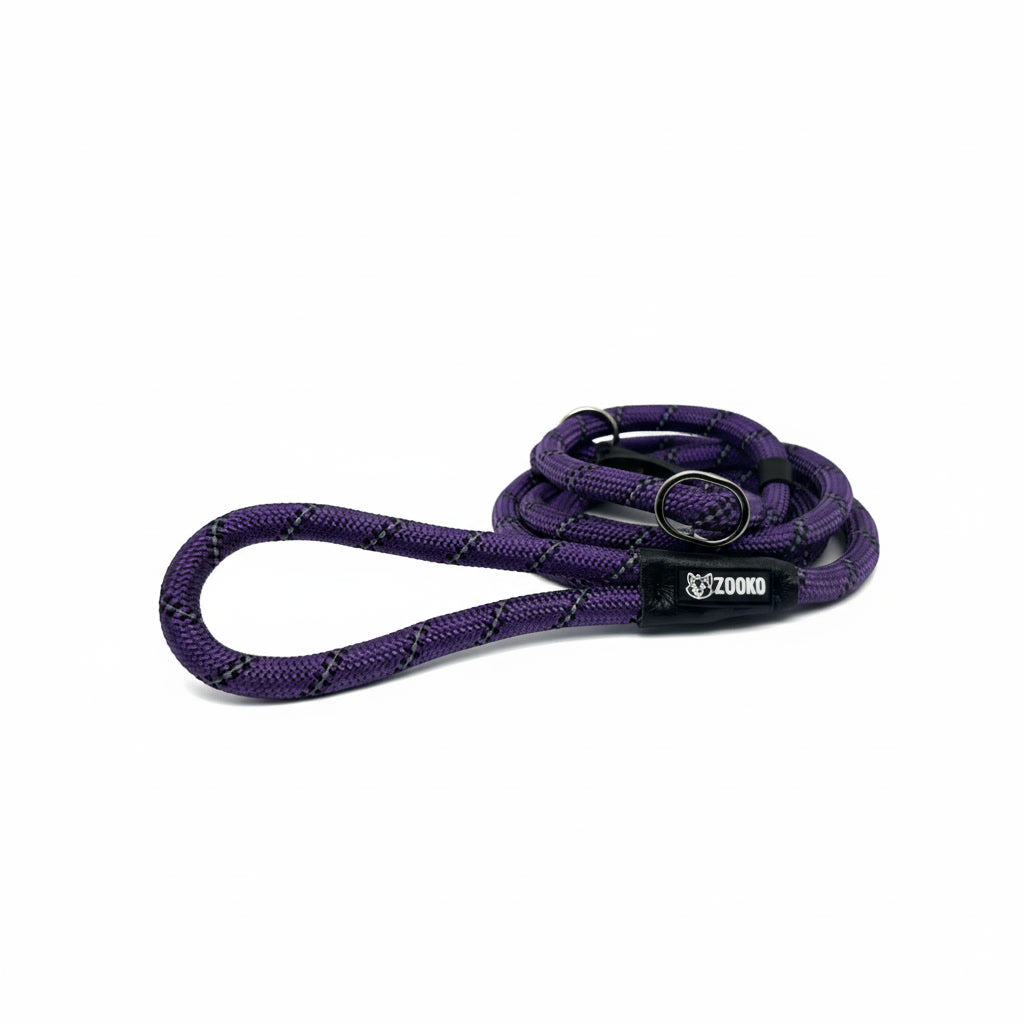 Correa Slip Leash Antitirones Correa Y Collar Perros Zooko