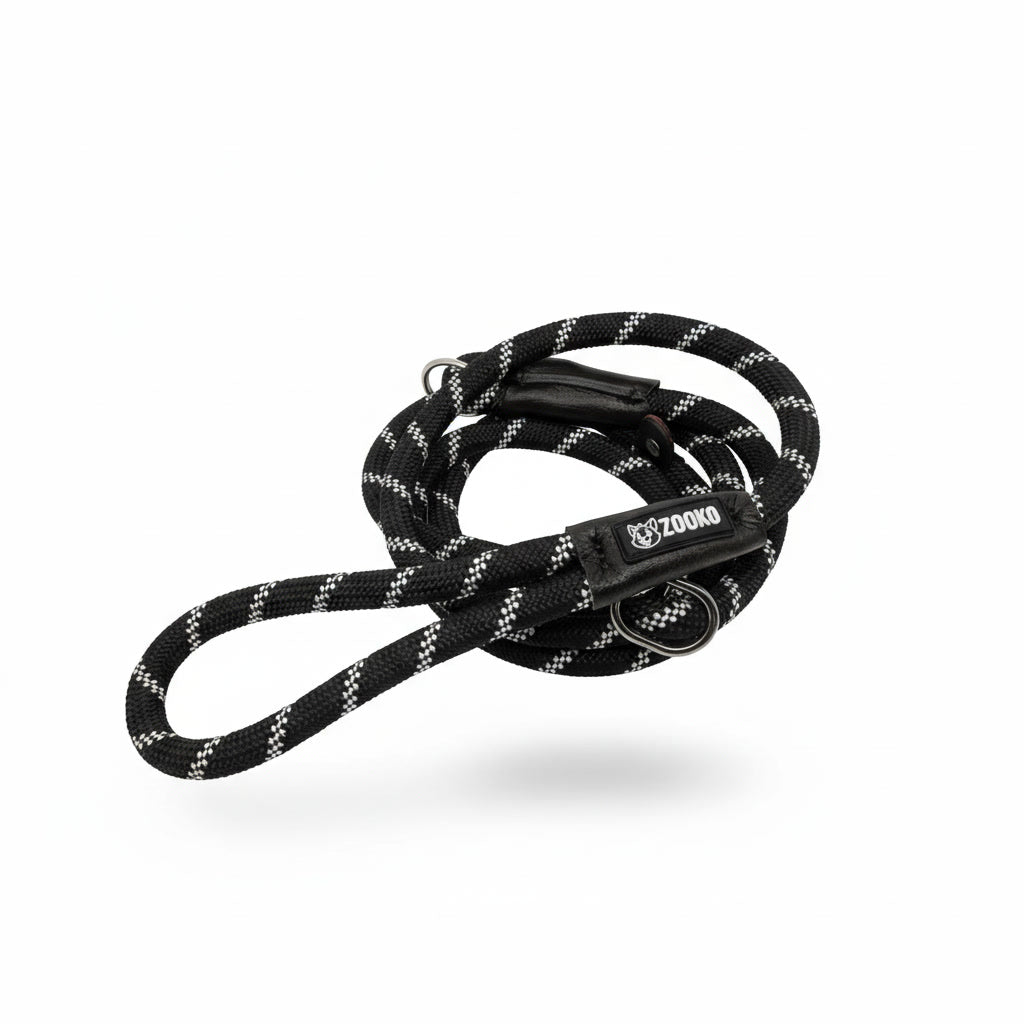 Correa Slip Leash Antitirones Correa Y Collar Perros Zooko