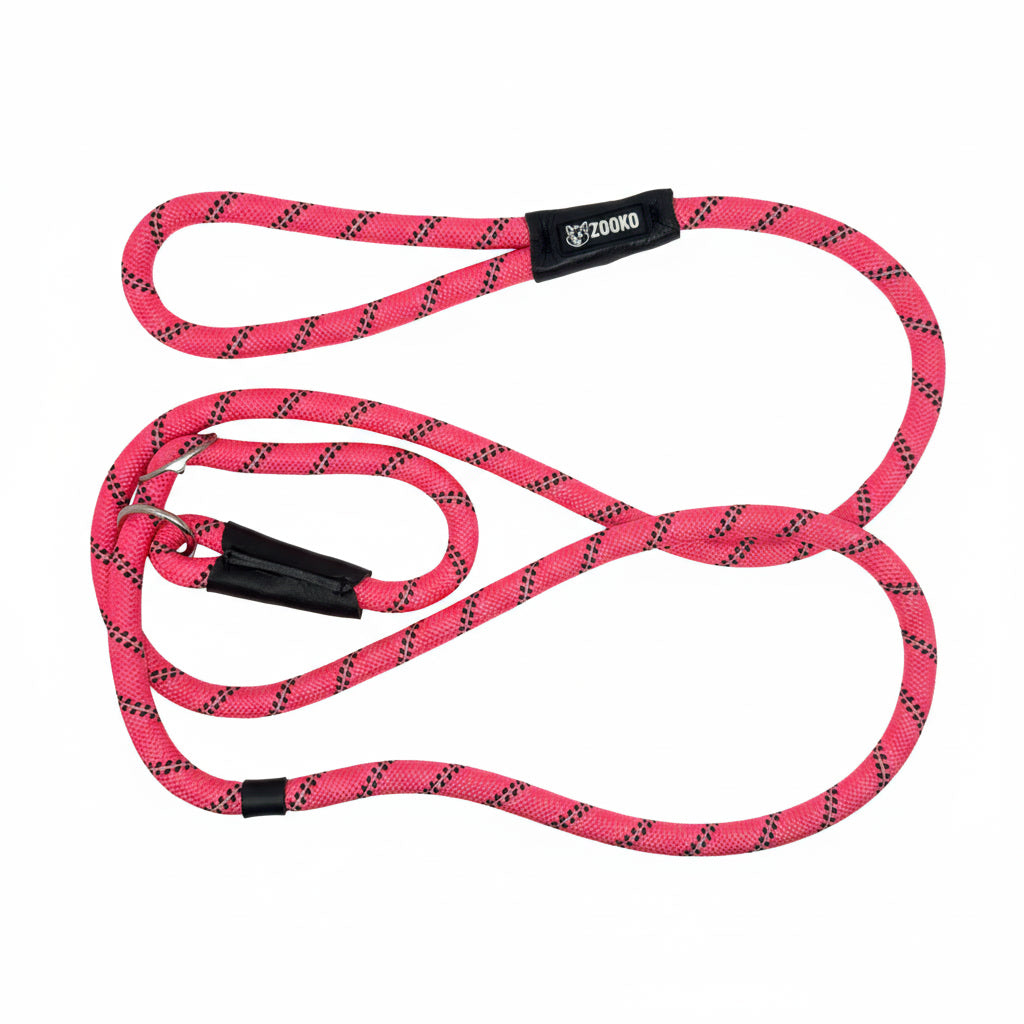 Correa Slip Leash Antitirones Correa Y Collar Perros Zooko