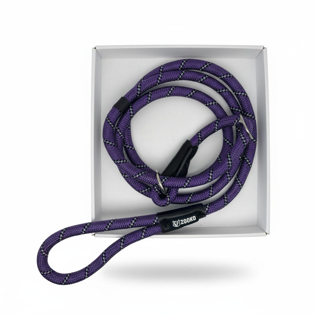 Correa Slip Leash Antitirones Correa Y Collar Perros Zooko