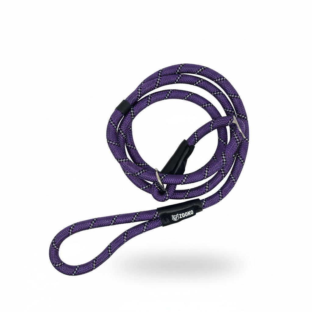 Correa Slip Leash Antitirones Correa Y Collar Perros Zooko