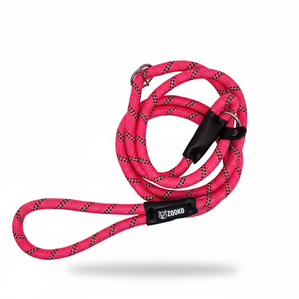 Correa Slip Leash Antitirones Correa Y Collar Perros Zooko