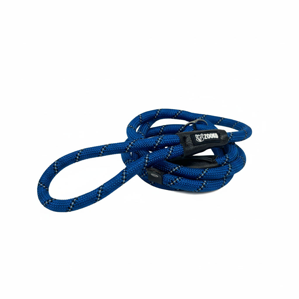 Correa Slip Leash Antitirones Correa Y Collar Perros Zooko