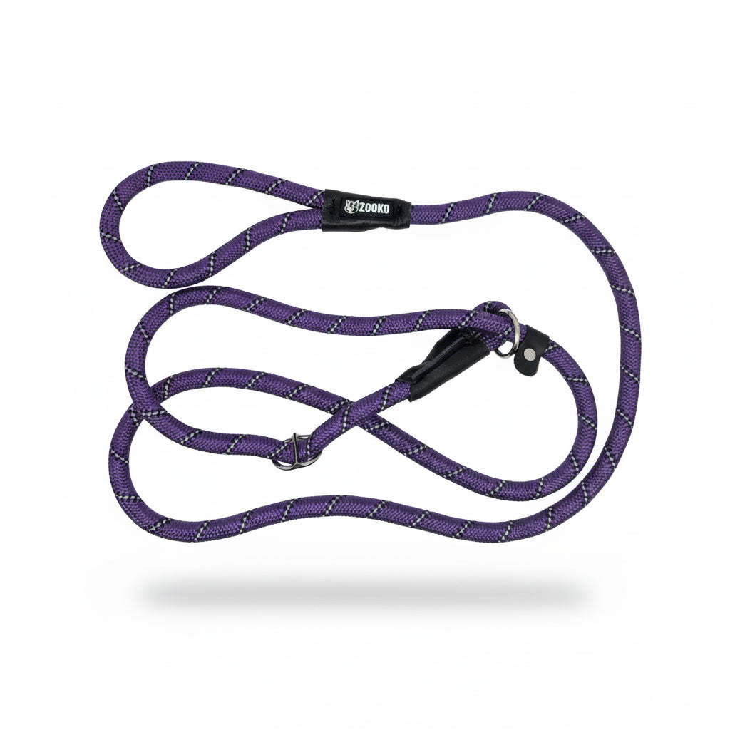 Correa Slip Leash Antitirones Correa Y Collar Perros Zooko