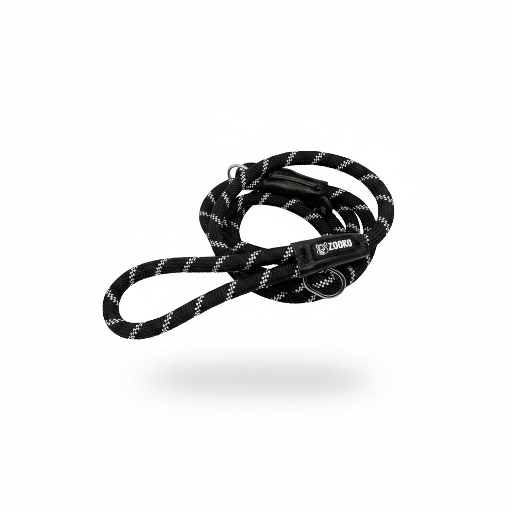 Correa Slip Leash Antitirones Correa Y Collar Perros Zooko