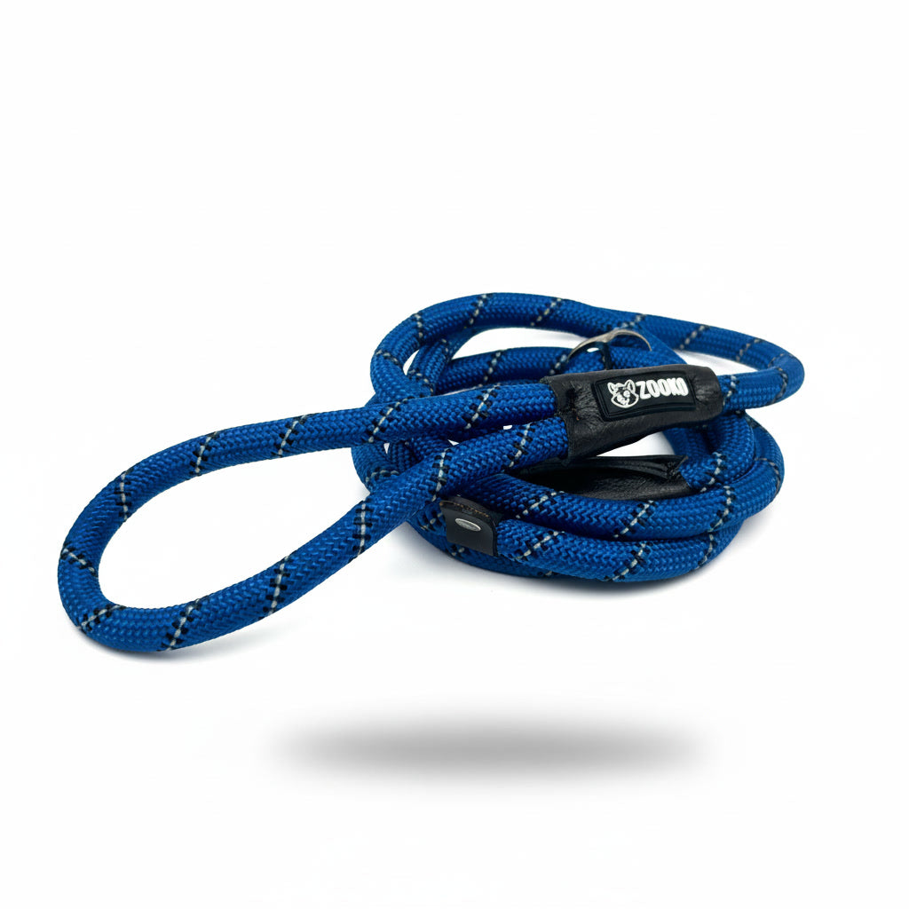 Correa Slip Leash Antitirones Correa Y Collar Perros Zooko